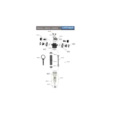 Filtre Cintropur NW500 TE 2" - Filtre à eau rechargeable