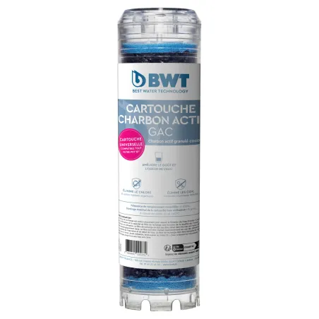 Cartouche Charbon Actif en grain GAC - Cartouche filtrante BWT