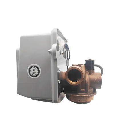 Adoucisseur d'eau bi bloc 150L fleck 2850 sxt
