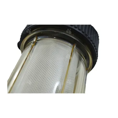 Filtre Cintropur NW25 1" - Filtre anti sédiments 25 microns
