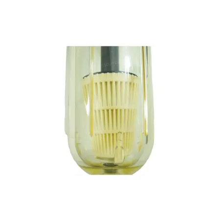 Filtre Cintropur NW25 TE 1" - Filtre à eau rechargeable