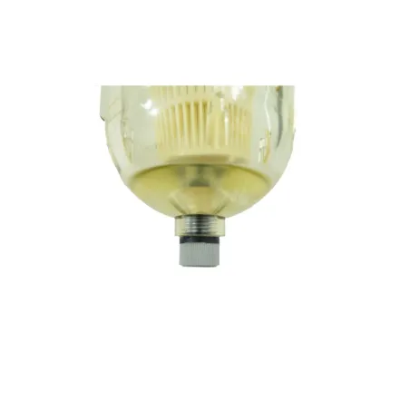 Filtre Cintropur NW32 TE 1"1/4- Filtre à eau rechargeable