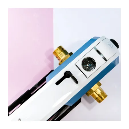 Filtre sédiment avec action protectrice - Filtre BWT E1 NEW 1" 90 µm