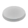 Capsule pour cheminée dia. 100