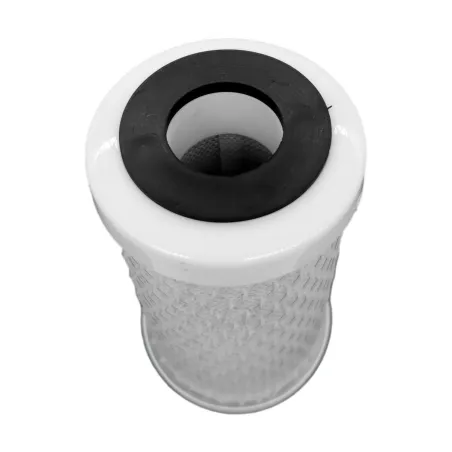 Cartouche duo 1µm et charbon actif - 5"