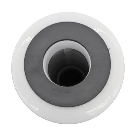 Cartouche duo 1µm et charbon actif - 5"