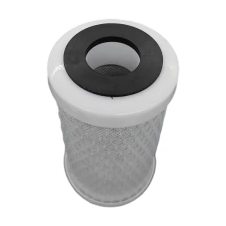 Cartouche duo 1µm et charbon actif - 5"