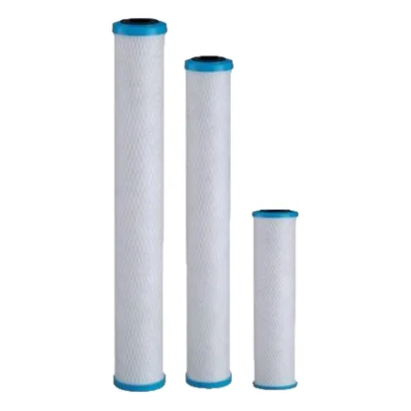 Cartouche charbon actif Chlorplus 10 - 1µm