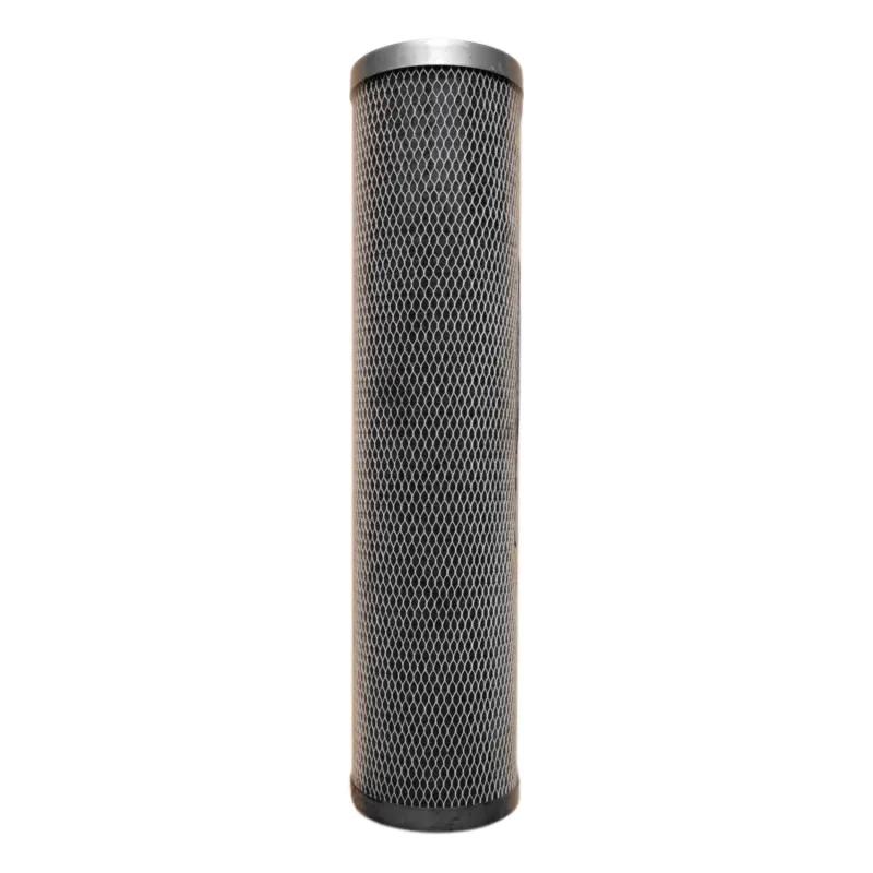 Cartouche charbon actif Fibredyne Floplus 20 Big Blue - 0,5µm
