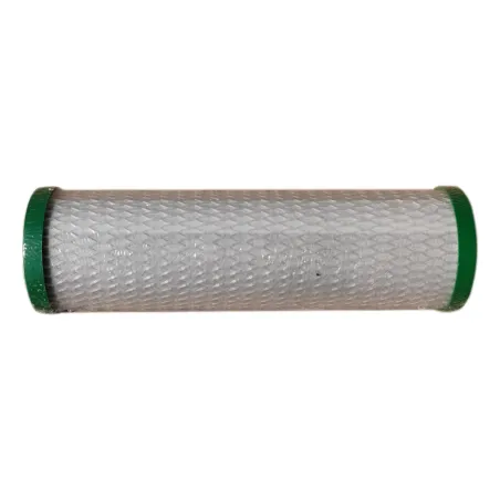 Cartouche charbon actif Chlorplus Protect 10 - 1µm