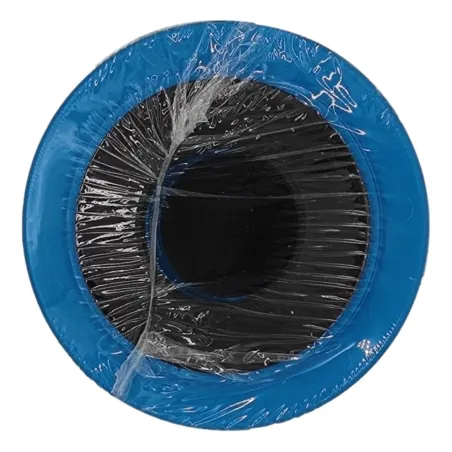 Cartouche charbon actif Chlorplus 10 - 1µm