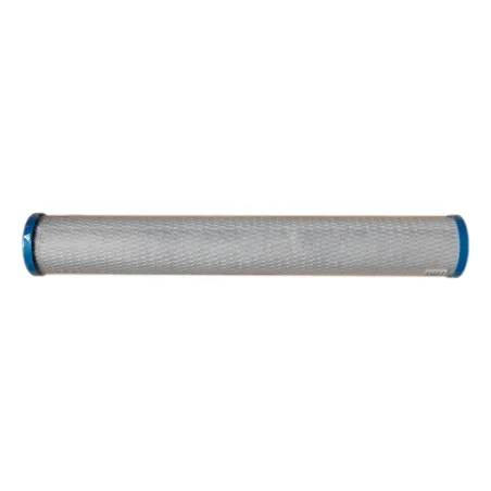 Cartouche charbon actif Chlorplus 20 - 1µm