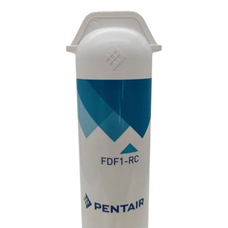 Cartouche de remplacement FDF1-RC CTO pour filtre Pentair Freshpoint F1000-DFB à 1 étape