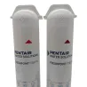 Lot de 2 cartouches de remplacement F2B2-RC2 CTO et COV pour filtre Pentair Frespoint Pfas à 2 et 3 étapes