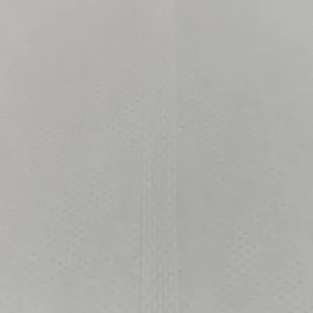 Tamis filtrant Cintropur pour NW280 - 50 microns