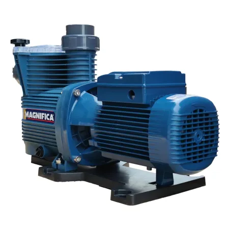Pompe de filtration piscine Magnifica Pedrollo 4 230/400V - 1.5kW - 30m3/h