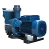 Pompe de filtration piscine Magnifica Pedrollo 4 230/400V - 1.5kW - 30m3/h