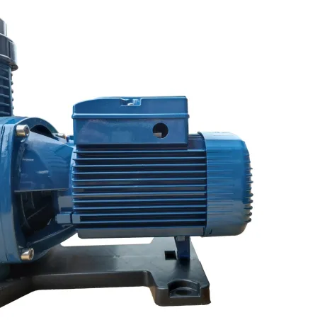 Pompe de filtration piscine Magnifica Pedrollo 4 230/400V - 1.5kW - 30m3/h