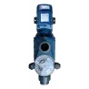 Pompe de filtration piscine Magnifica Pedrollo 4 230/400V - 1.5kW - 30m3/h