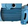 PRODUIT D'OCCASION : Pompe de piscine Autoamorçante Calpeda MPCM31 230V - 0.75kW - 14m3/h