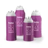 Filtre à eau Profine VIOLET Big 6.0 - Filtre Anti Calcaire + Charbon Actif Ions Argent et Sédiments 0.5 microns