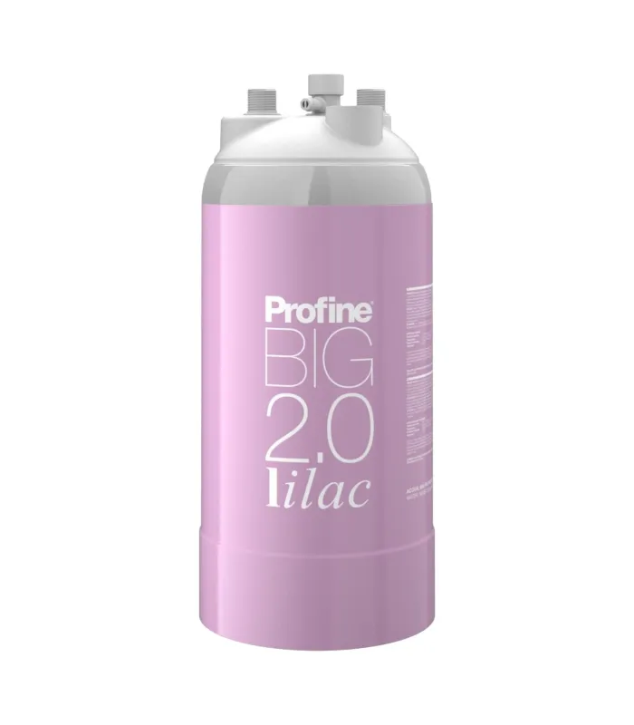 Filtre à eau Profine LILAC Big 2.0 - Filtre Anti Calcaire + Charbon Actif Ions Argent et Sédiments 0.5 microns