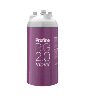 Filtre à eau Profine VIOLET Big 2.0 - Filtre Anti Calcaire + Charbon Actif Ions Argent et Sédiments 0.5 microns