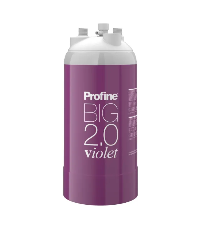 Filtre à eau Profine VIOLET Big 2.0 - Filtre Anti Calcaire + Charbon Actif Ions Argent et Sédiments 0.5 microns