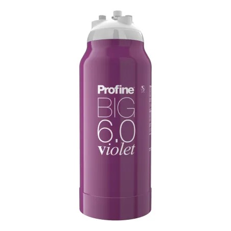 Filtre à eau Profine VIOLET Big 6.0 - Filtre Anti Calcaire + Charbon Actif Ions Argent et Sédiments 0.5 microns
