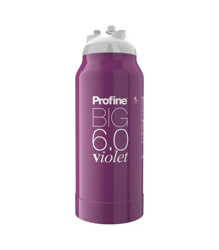 Filtre à eau Profine VIOLET Big 6.0 - Filtre Anti Calcaire + Charbon Actif Ions Argent et Sédiments 0.5 microns