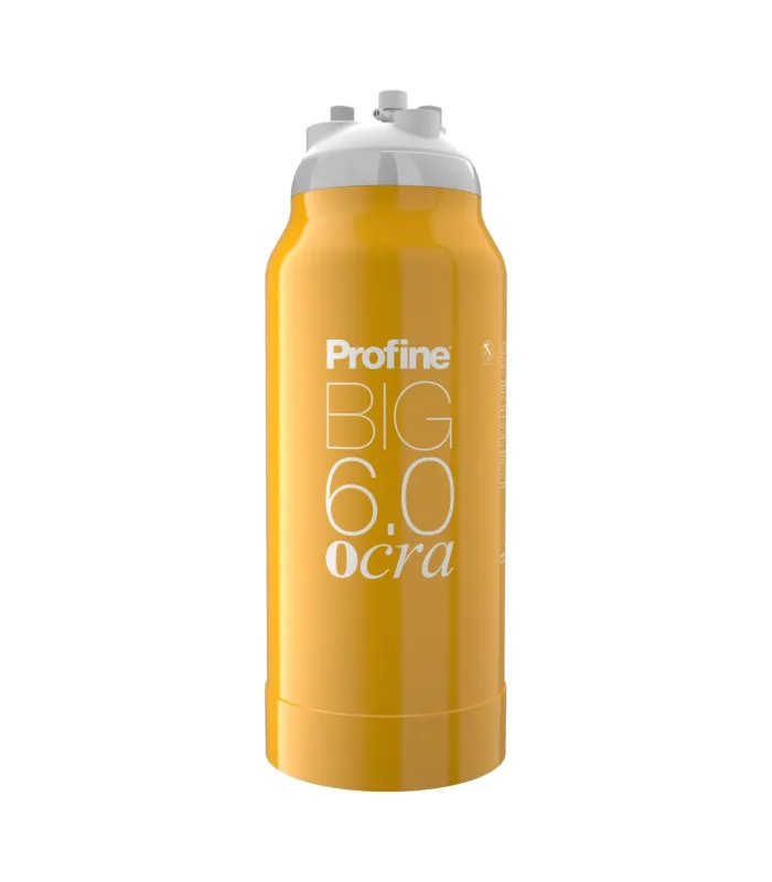 Filtre à eau Profine VENDINGOCRA Big 6.0 - Cartouche de Filtre Anti Calcaire - Réduction de la Dureté + 5 microns