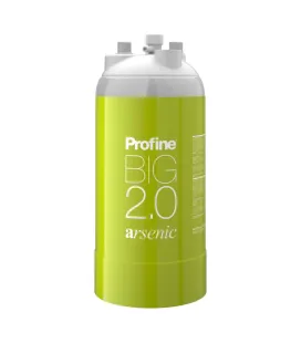 Filtre à eau Profine ARSENIC Big 2.0 - Filtration de l'Arsenic et Impuretés supérieures à 0.5 microns