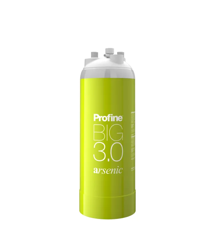 Filtre à eau Profine ARSENIC Big 3.0 - Filtration de l'Arsenic et Impuretés supérieures à 0.5 microns