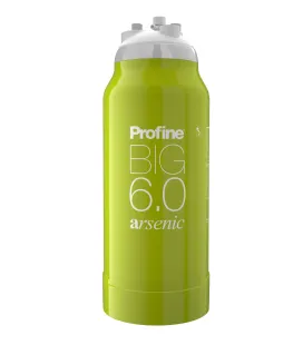 Filtre à eau Profine ARSENIC Big 6.0 - Filtration de l'Arsenic et Impuretés supérieures à 0.5 microns