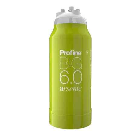 Filtre à eau Profine ARSENIC Big 6.0 - Filtration de l'Arsenic et Impuretés supérieures à 0.5 microns
