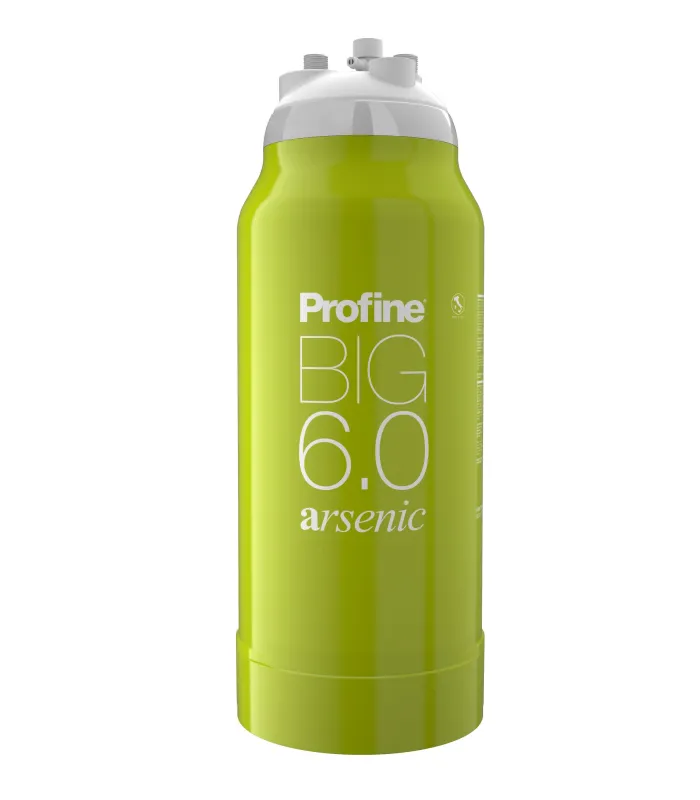 Filtre à eau Profine ARSENIC Big 6.0 - Filtration de l'Arsenic et Impuretés supérieures à 0.5 microns