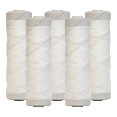 Lot de 5 cartouches bobinées 9''3/4 - 20µm avec charbon actif de noix de coco