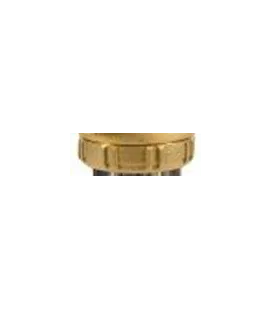 Ecrou bronze pour filtre 9" et 20"