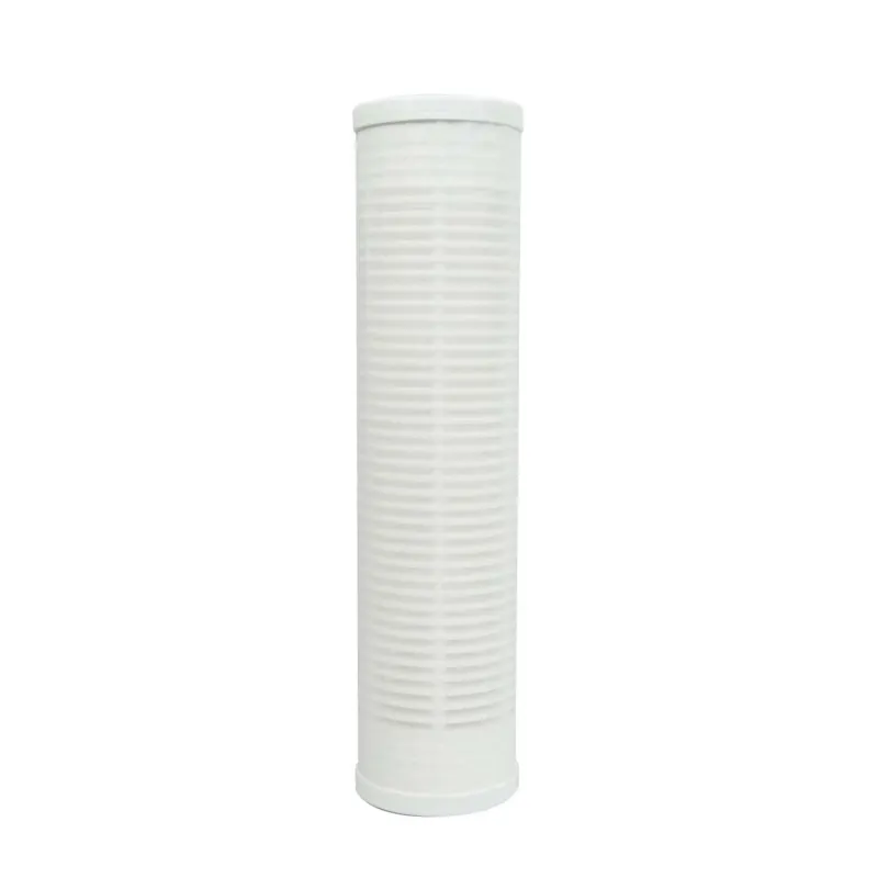 Cartouche toile lavable 60µm - 9 3/4