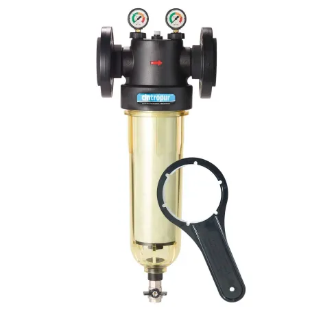 Filtre cintropur NW650 - 2"1/2