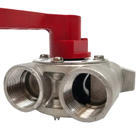 By-pass inox pour vanne Fleck 5600 SXT - 1"