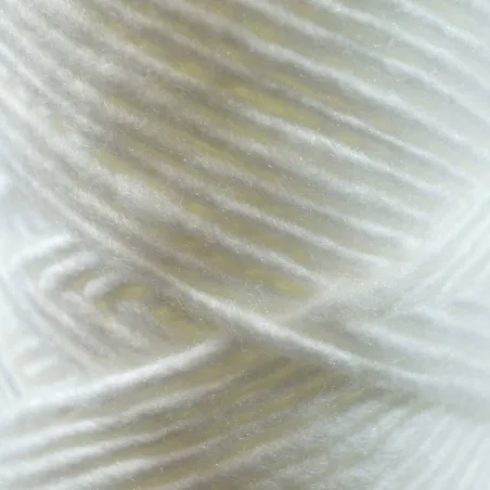 Lot de 5 cartouches bobinée 9"3/4 - 20µm