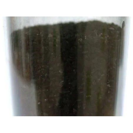 Set of 5 activated carbon cartridges - 9"3/4 for water filter holder