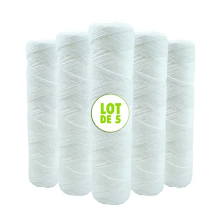 Lot de 5 cartouches bobinée 9"3/4 - 20µm