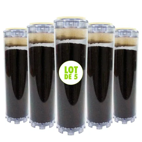 Set of 5 activated carbon cartridges - 9"3/4 for water filter holder