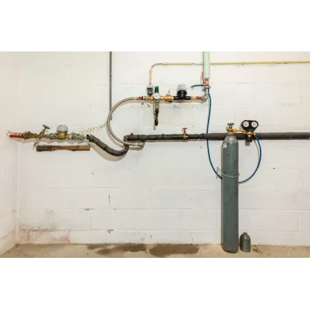 Adoucisseur CO2 2 pouce - 50/60