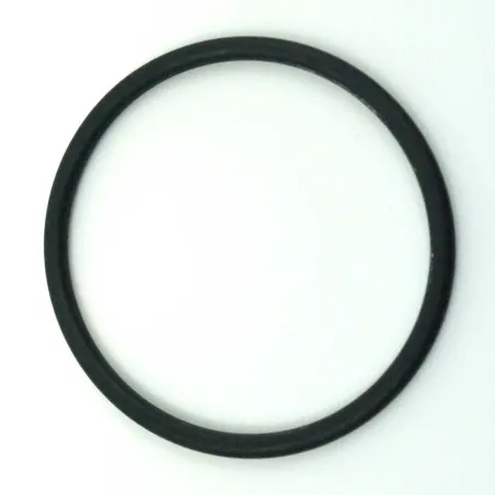 Joint Torique Vanne / Réservoir 2,5'' Vanne Clack WS100 Et WS125
