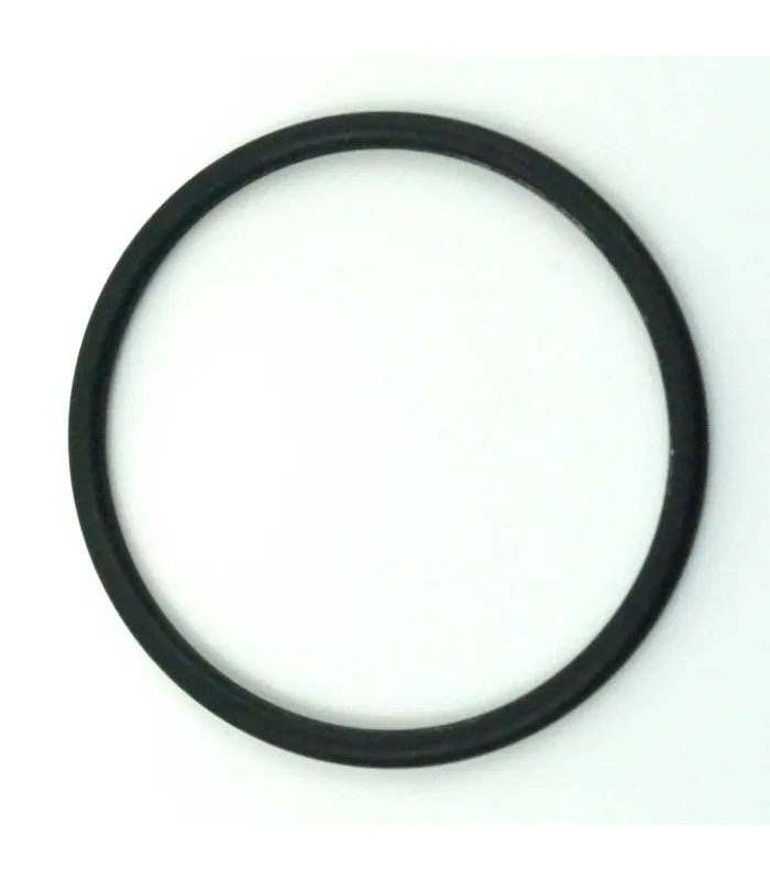 Joint Torique Vanne / Réservoir 2,5'' Vanne Clack WS100 Et WS125