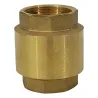 Clapet Anti Retour Laiton 1" York