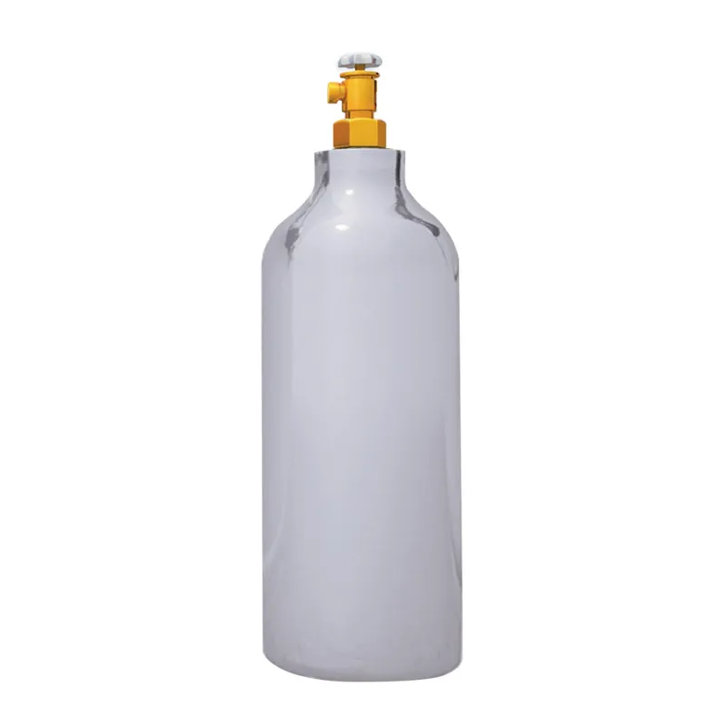 Bouteille CO2 - 10Kg pour Adoucisseur d'eau CO2